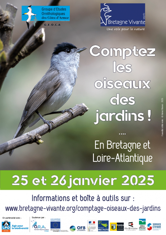 Comptez les oiseaux au jardin