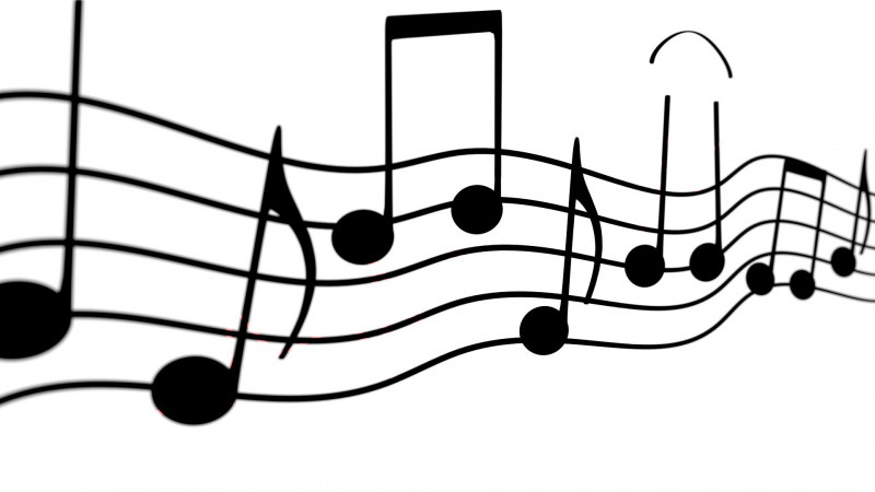 Concert Ali Cora, musique malienne
