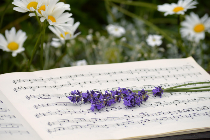 Concert de printemps du Paz Per Orchestra - Comédies musicales