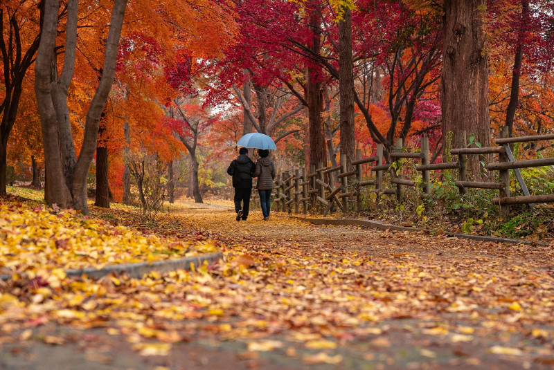Marché d'automne