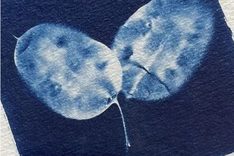 Cyanotype