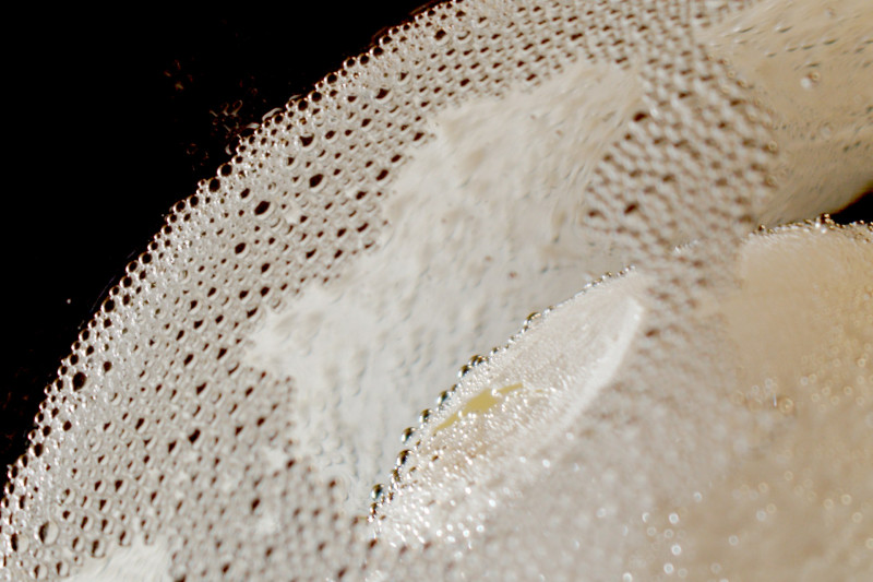 exposition ciseler nos patiences sculptures peintures dentelles imitation tableaux organique nature vivant  minérale