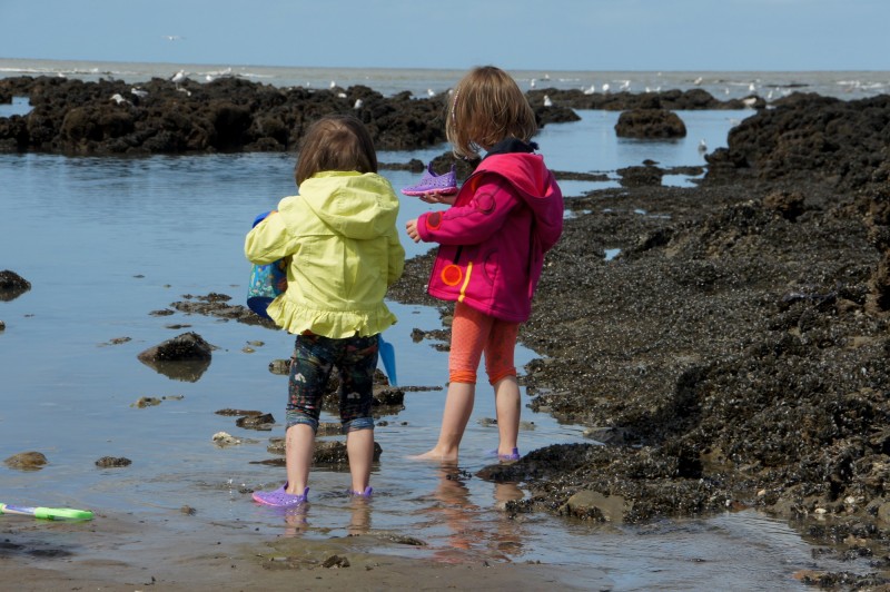 découverte de la pêche à pied, tharon, st michel, pêche, promenade