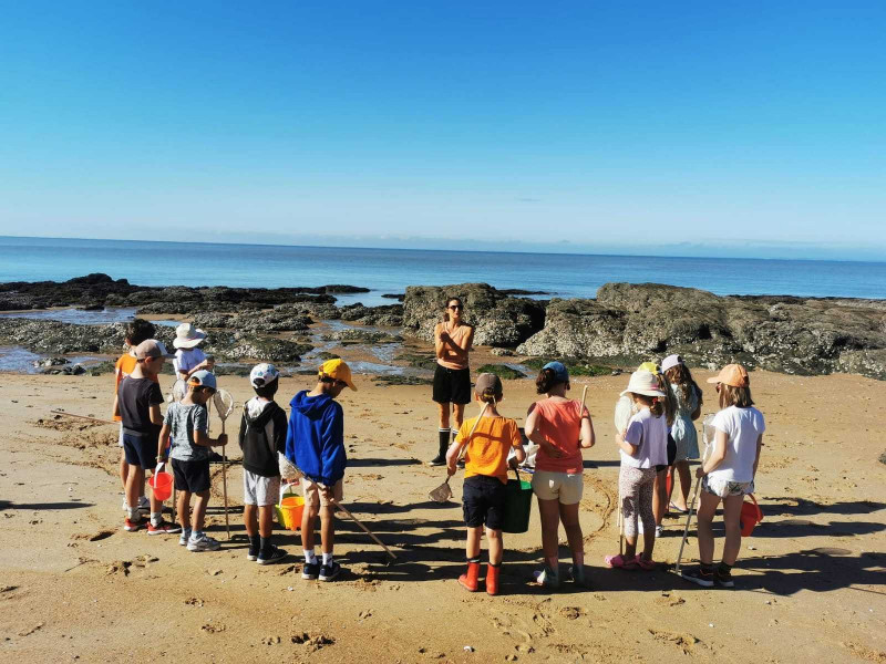 visite pêche à pied enfant, découverte coquillage, crustaces epuisette bottes