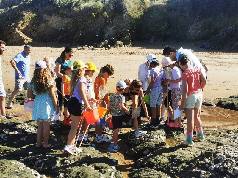 visite pêche à pied enfant, découverte coquillage, crustaces epuisette bottes