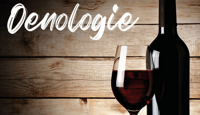 DÉGUSTATION OENOLOGIQUE PORNIC