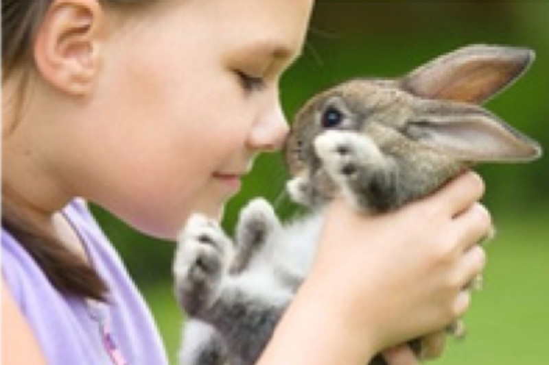 | Atelier médiation animale le mois des tout petits