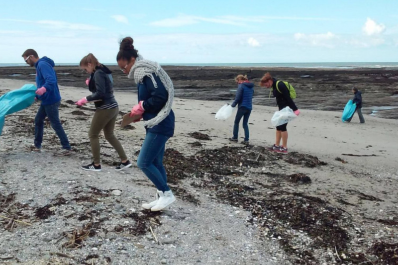 La vie secrète de nos plages