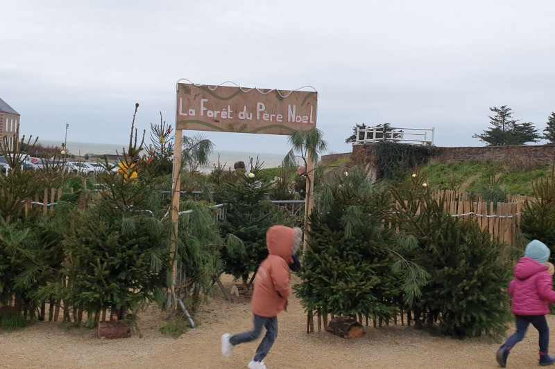 petite forêt noël préfailles destination pornic boules guirlandes magie avenue eric tabarly