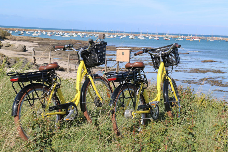 Échappée nature: Découverte de la Côte de Jade à vélo électrique
