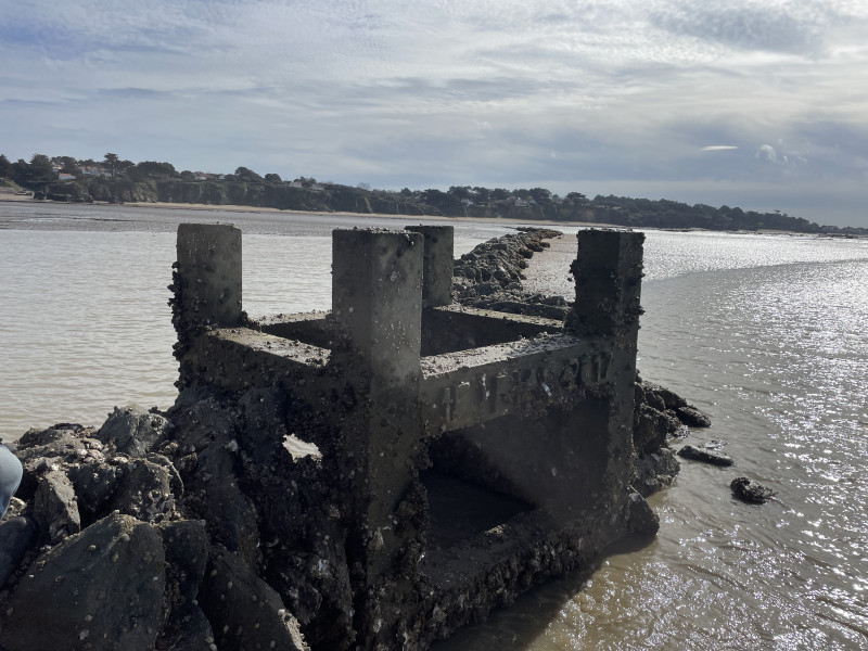 visite guidée, bord de mer, ecluse, pêche pornic