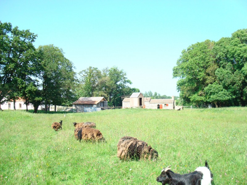 pornic workshop children school bread small house meadow 