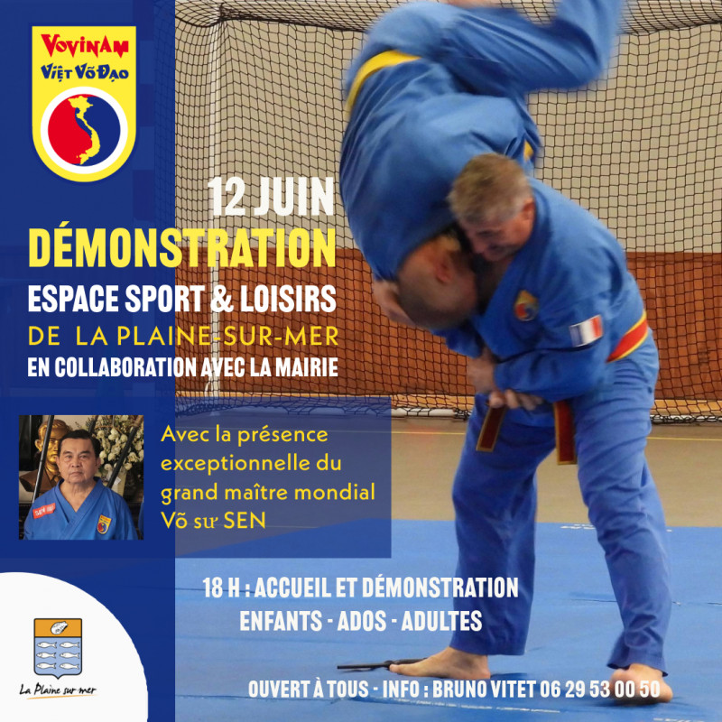 art martiel vietnamien la plaine sur mer