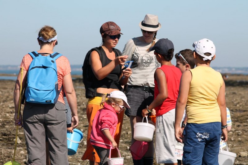 Sortie nature : En route pour la pêche à pied avec Échos Nature