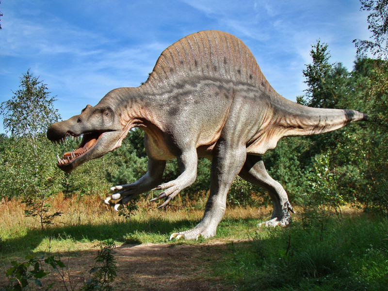 Escape Box Dinosaures chauvé