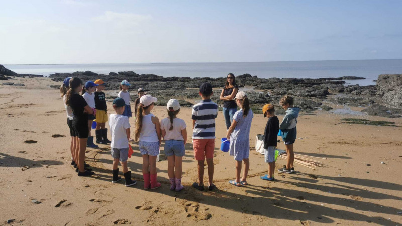 explore-la-plage-mar-e-basse-tiphaine-viemont-48850