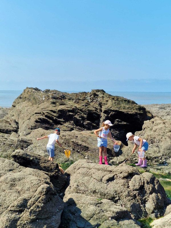 explore-la-plage-mar-e-basse-tiphaine-viemont-48851