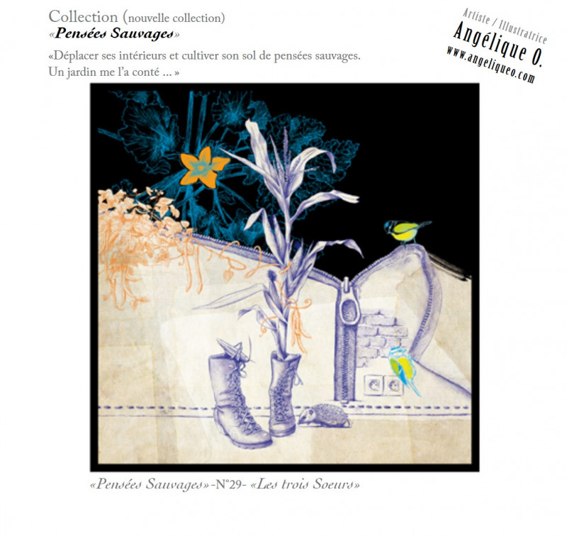 Exposition de l'artiste: 