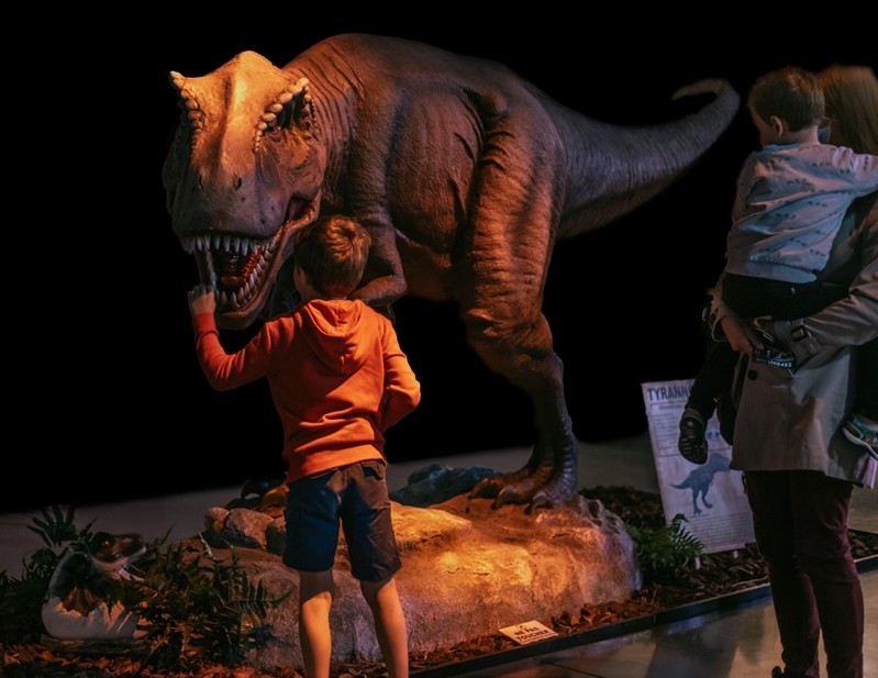 EXPOSITION GOUVIER: DINOSAURES FOSSILES ET PREHISTOIRE  PORNIC