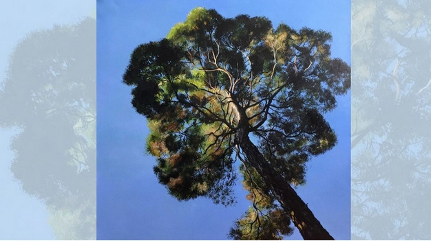 EXPOSITION : PARADISE PORNIC