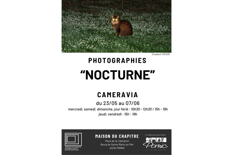 Exposition photographique : Nocturne art Destination Pornic