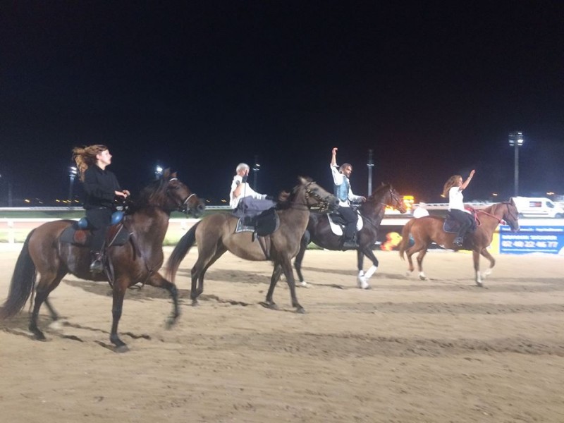 FESTIVAL D'ARTS EQUESTRES ANAM CAPALL