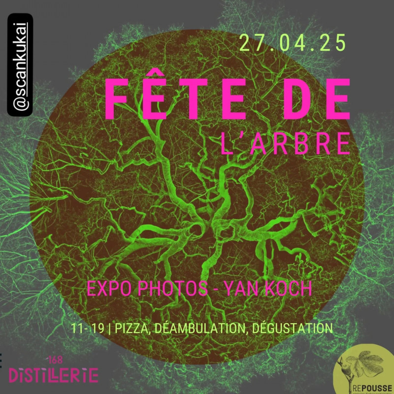 fête de l'arbre pornic distillerie 168 expo photos