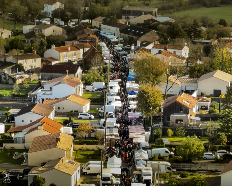 foire pie fete tradition étals bétail animaux ferme produits locaux