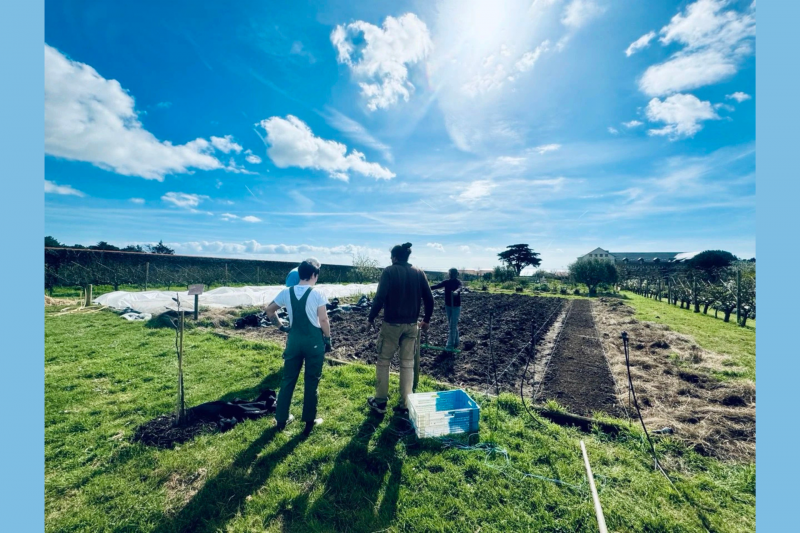 Ausbildung: 4-tägige Ausbildung zum Permakultur-Gemüsegarten auf der Öko-Domäne La Fontaine in Pornic