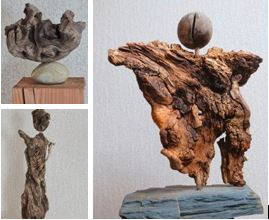 HISTOIRE DE BOIS