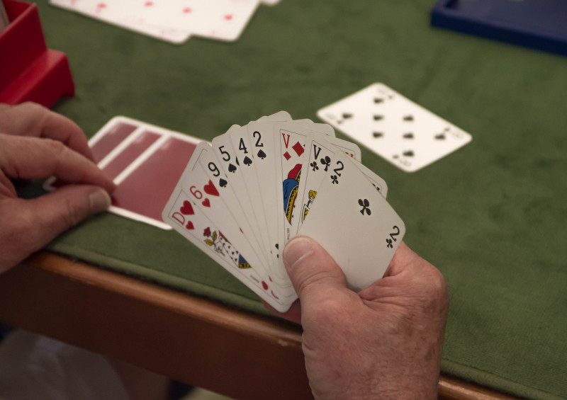 Initiation au bridge pour les enfants