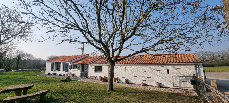 Jardin - CAILL2