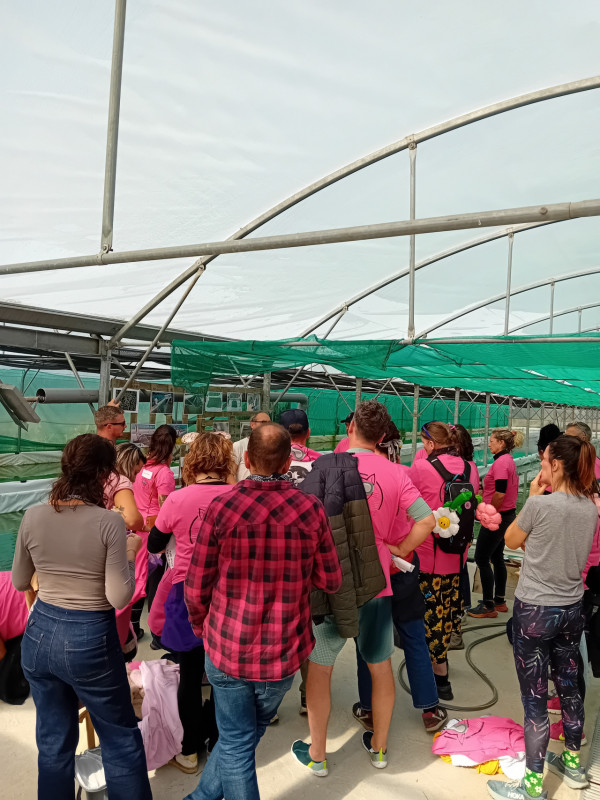 visite entreprise, spiruline, savoir faire, Pornic