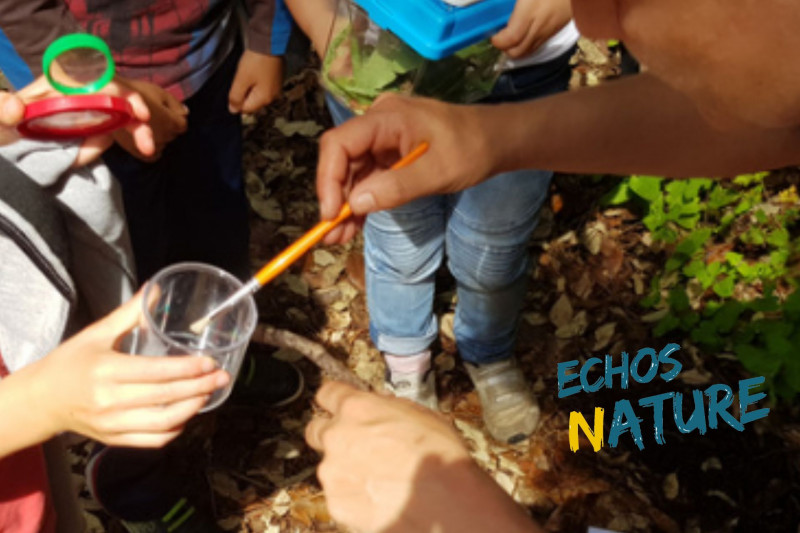 Sortie Nature, Animations Saint-Michel-Chef-Chef, Echos Nature, Nature et environnement