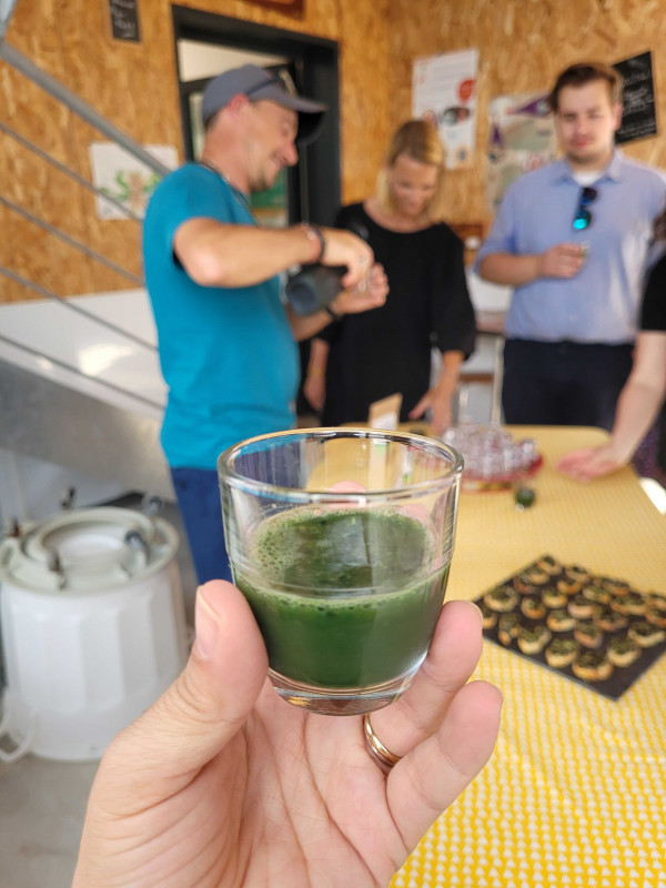 LA FÊTE DE LA SPIRULINE