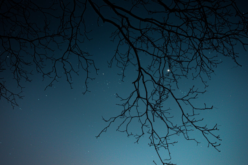 La nuit des étoiles