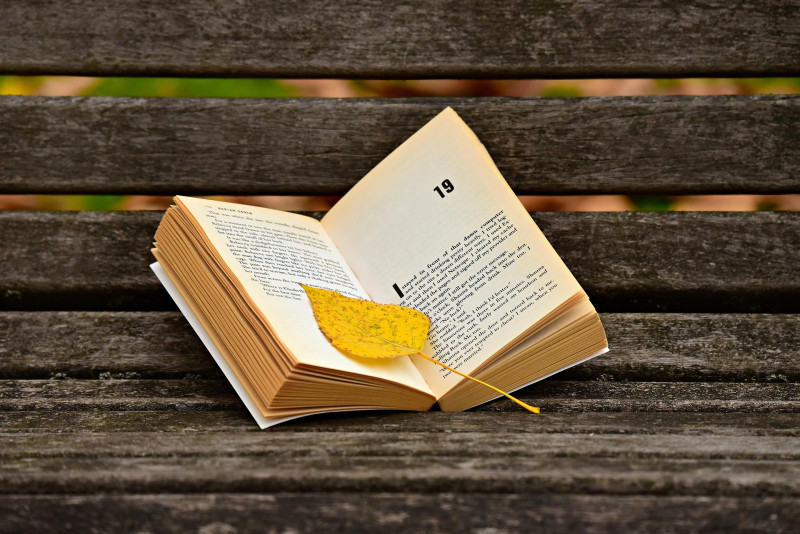 Lecture de contes pour les petits - Jacques et le haricot magique