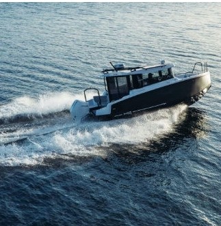 LES AILES BLEUES AUTREMENT PORNIC