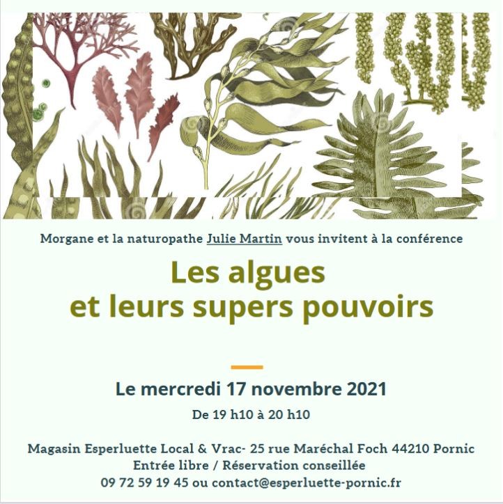 les-algues-17-novembre-35709