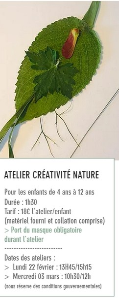 LES ATELIERS D'ANNE-LAURE: CREATIVITE EN LIEN AVEC LA NATURE PORNIC