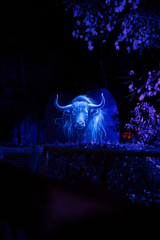 Les illuminations sauvages à Planète Sauvage port saint père