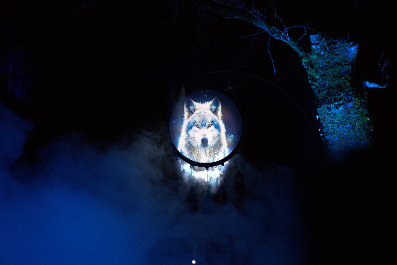 Les illuminations sauvages à Planète Sauvage port saint père