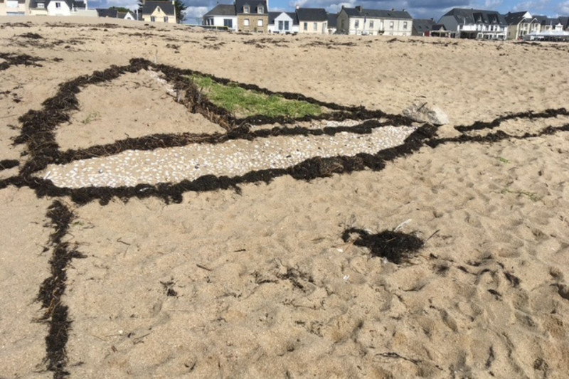 Mandala nature sur la plage de Saint-Michel