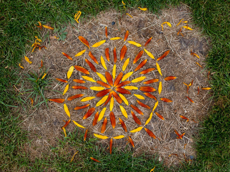 mandala-nature-25-f-vrier-echo-nature-51192