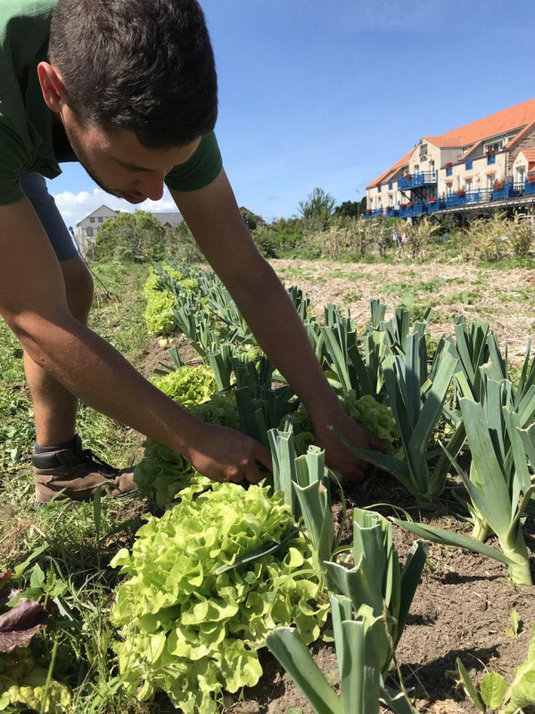 Marché à la ferme de l'Eco Domaine Pornic