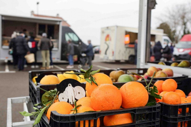 market producer farmer farm vegetables fruit food cheese wine local products