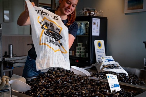 MOULES BAUDET