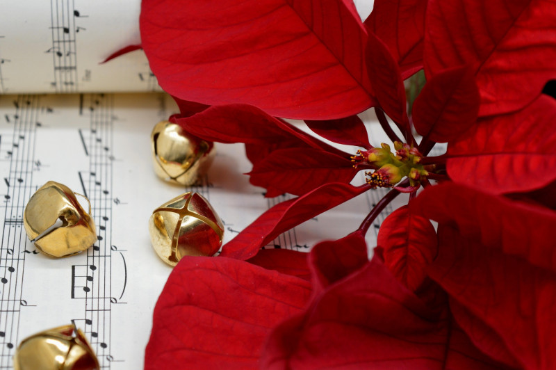 Noëls traditionnels