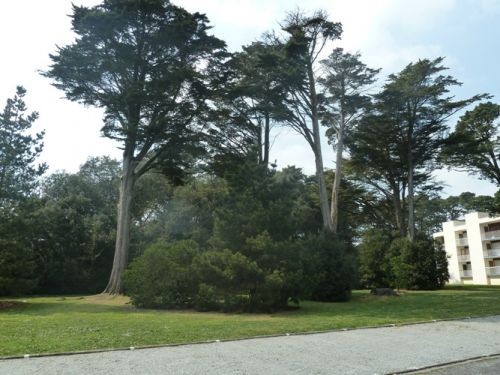 Parc de la résidence - HORT2