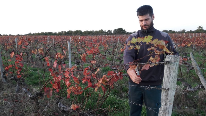 Visite du DOMAINE DU SILLON COTIER